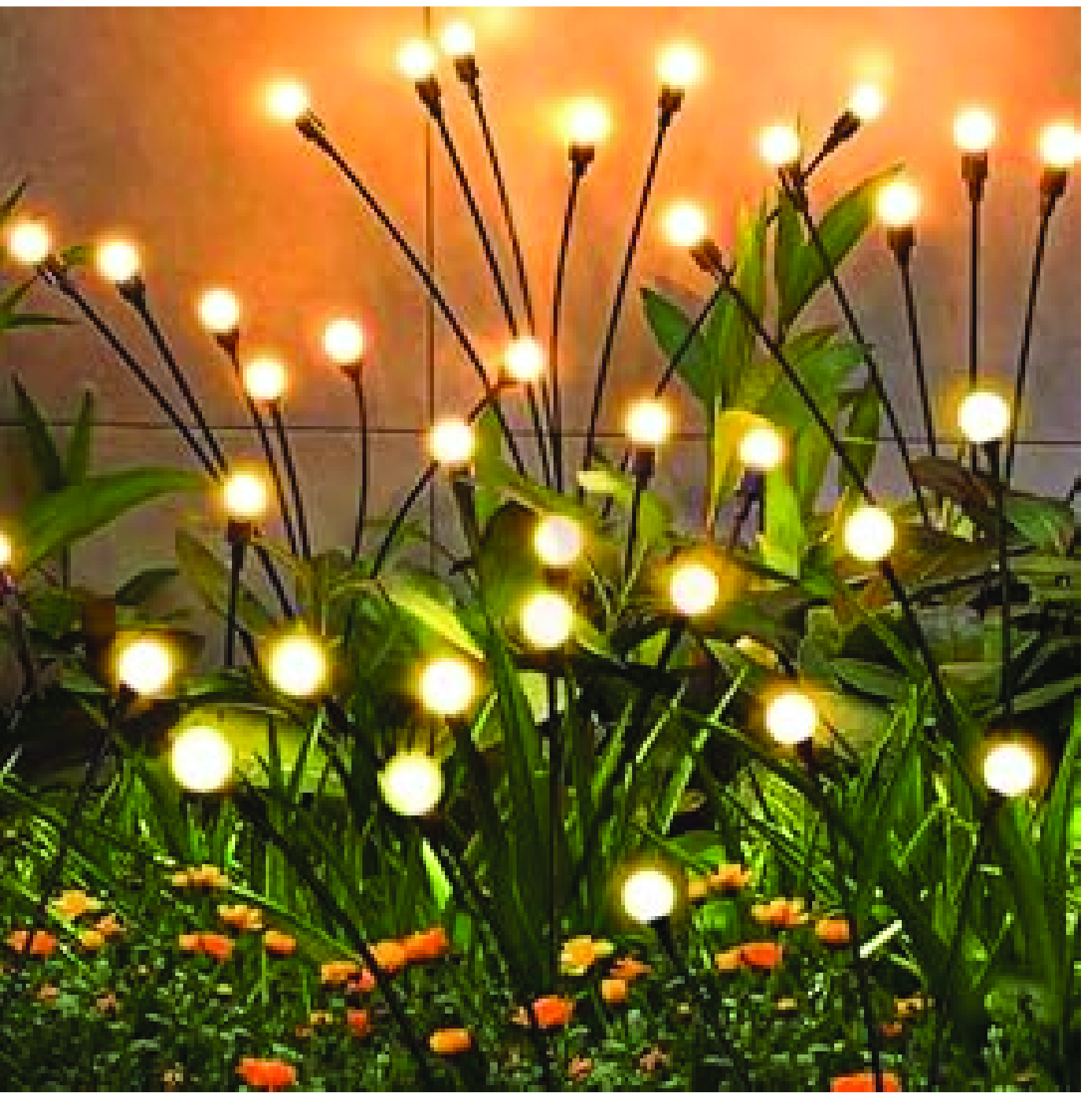 Garden Lights